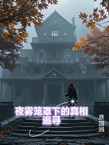 夜雾什么