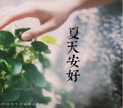 夏天安好下一句怎么接