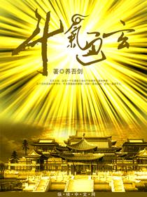 斗气是哪个开始的