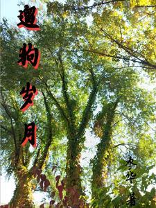 遛狗短语