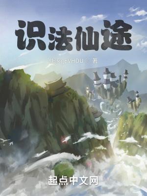 识法仙途TXT精校全本TXT
