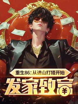 重生从山寨到大款第八区