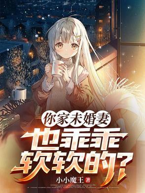 你未婚妻也跑了txt