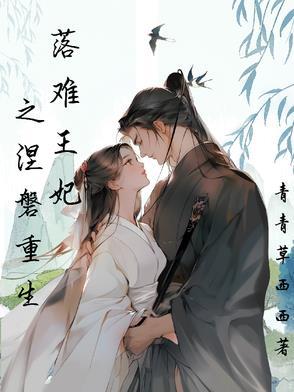 落难王妃电视剧