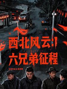 电影西北风云剧情介绍