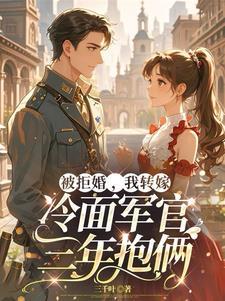 闪婚嫁给军区首长全文免费阅读给