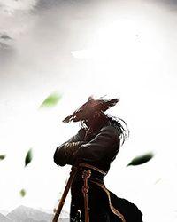 唐宫美人天下免费观看