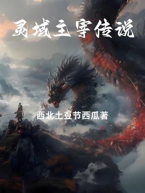 灵域大主宰