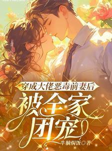 穿成大佬的前妻免费