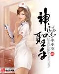 神医圣手 第187章