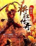 抗日之将胆传奇免费观看