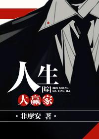 综人生大赢家by非摩安