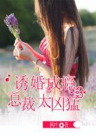 总裁诱妻成瘾txt