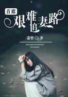首席总裁追逃妻全文阅读