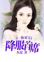 一胎双宝全文免费阅读