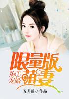 第一宠妻