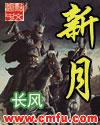 新月形沙丘迎风坡和背风坡
