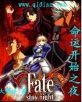 命运之夜原版