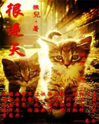 神医弃妃很逆天