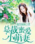 总裁的小萌妻电视剧免费观看