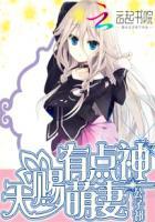 天赐福女之呆萌玲珑妻