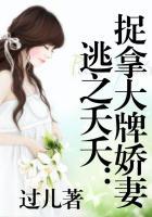 nice什么意思中文翻译