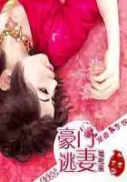 豪门婚宠boss男神太难缠