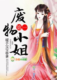 第一狂妃废柴三小姐人物介绍