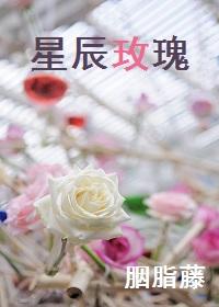 星辰玫瑰陨石项链多少钱