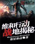 维和行动意义