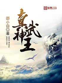 真武神王爆火短剧