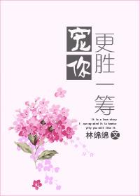 宠你更胜一筹周延琛是男主吗