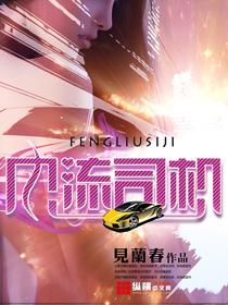 风流司机小陈全文阅读最新章节