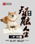 都市智慧少年全文免费