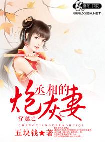 穿越成丞相的炮灰前妻番外