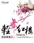 轻舞红楼txt