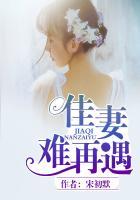 佳妻难腻
