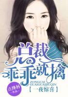 总裁乖乖就擒 聚合中文网
