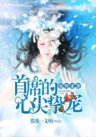 强势首席的暖妻