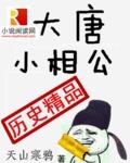 大唐小相公有声免费