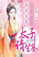 太子独宠太子妃的