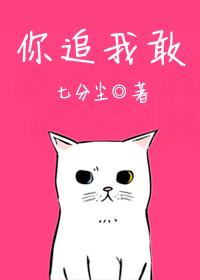 你追我敢 章节无重复的