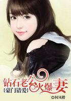 钻石总裁错爱妻