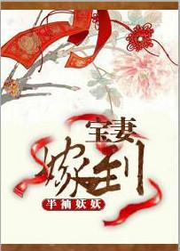 宝妻嫁到 半袖妖妖简介