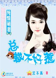 总裁冷妻不好惹全文