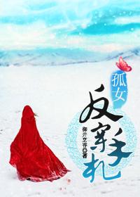 孤女反穿手札封锦全部作品