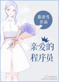 亲爱的程序员剧情