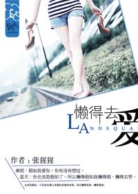 懒的去说