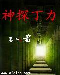神探讲解
