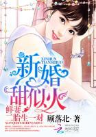 二胎生一对无弹窗 书旗